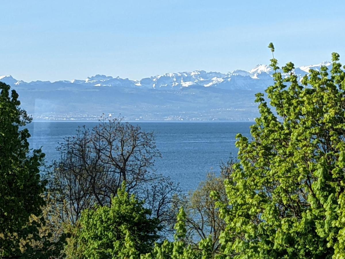 Ferienwohnungen Vera & Lea Friedrichshafen Bagian luar foto